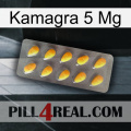 Kamagra 5 Mg cialis1